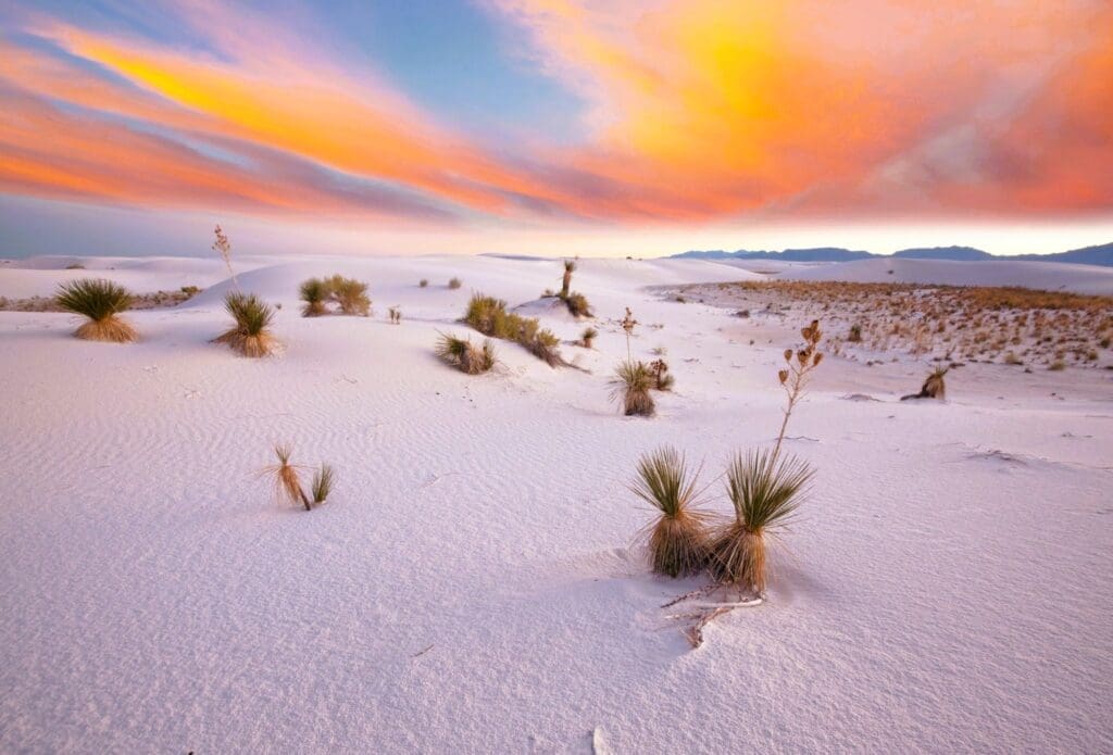 Unusual White Sand Dunes at White Sands National Park