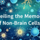 Unveiling the Memory of Non-Brain Cells