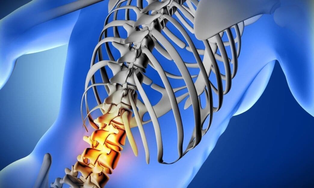 3D visualization of a spinal cord injury