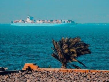 A cargo ship traversing the Suez Gulf