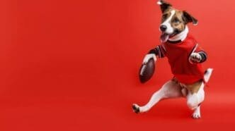 A dog in football gear kicking a field goal like a human against a solid red background. AI-generated image.