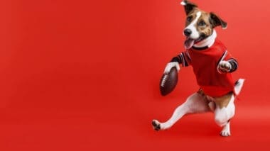 A dog in football gear kicking a field goal like a human against a solid red background. AI-generated image.