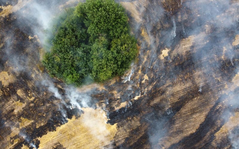 Aerial view of burning field with smoke in farm land