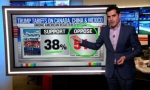 CNN senior data reporter Harry Enten analyzes data revealing the number of Americans in favor of and against Trump's tariff-based economic policy.