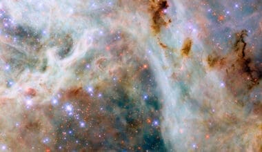 This NASA/ESA Hubble Space Telescope reveals clouds of gas and dust near the Tarantula Nebula, located in the Large Magellanic Cloud about 160,000 light-years away.