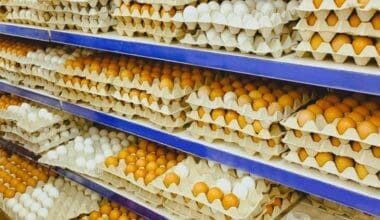 Cardboard trays with chicken eggs on shelves at supermarket