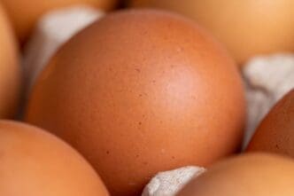 Fresh eggs for cooking