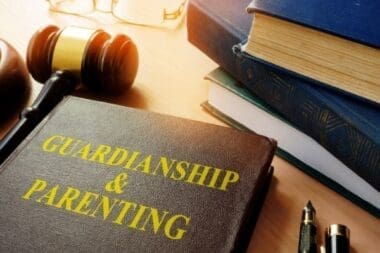 Guardianship and parenting book
