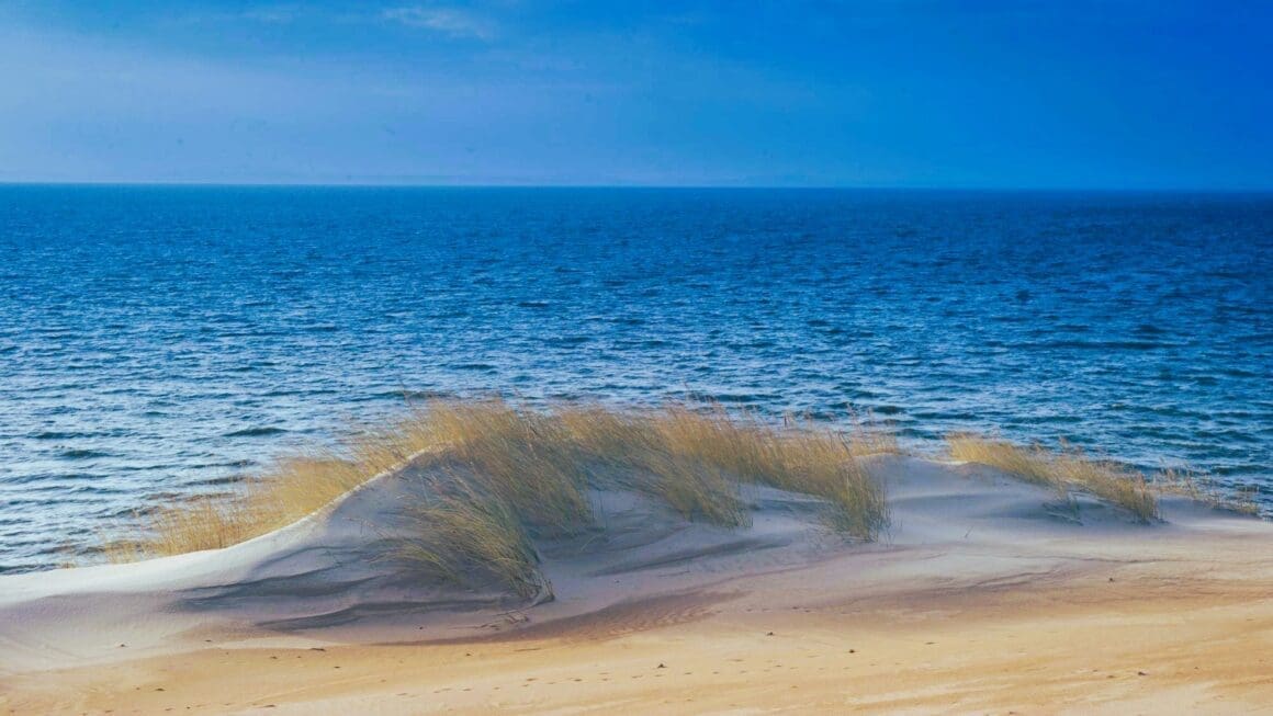 New Jersey Coast