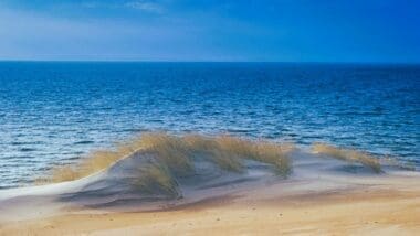 New Jersey Coast