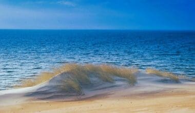 New Jersey Coast