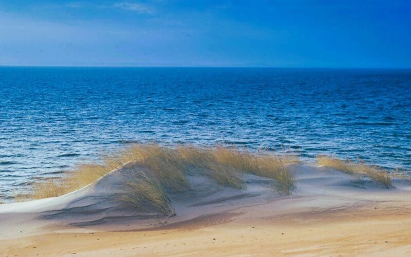 New Jersey Coast