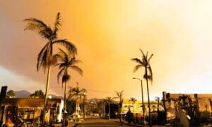 Smoke billows from the charred buildings in the Pacific Palisades fire