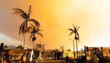 Smoke billows from the charred buildings in the Pacific Palisades fire