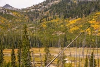 Vacant field with a mountain backdrop in Alaska
