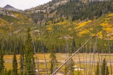 Vacant field with a mountain backdrop in Alaska