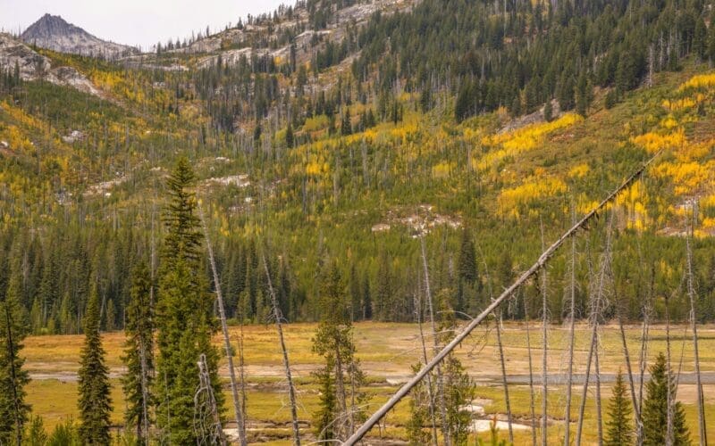 Vacant field with a mountain backdrop in Alaska