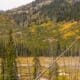 Vacant field with a mountain backdrop in Alaska