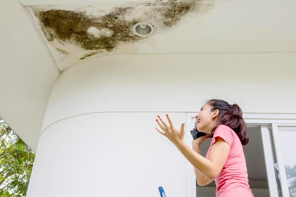 A young woman is contacting someone to fix her roof because of moisture damage