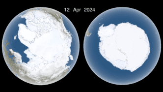 Arctic Winter Sea Ice Levels