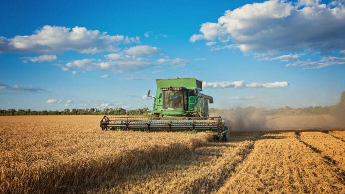 Harvesting combine in the field
