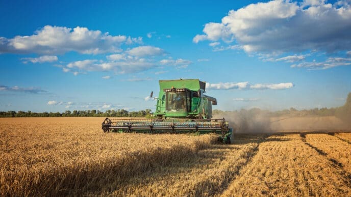 Harvesting combine in the field