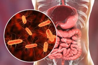Intestinal microbiome 3D illustration showing anatomy of human digestive system
