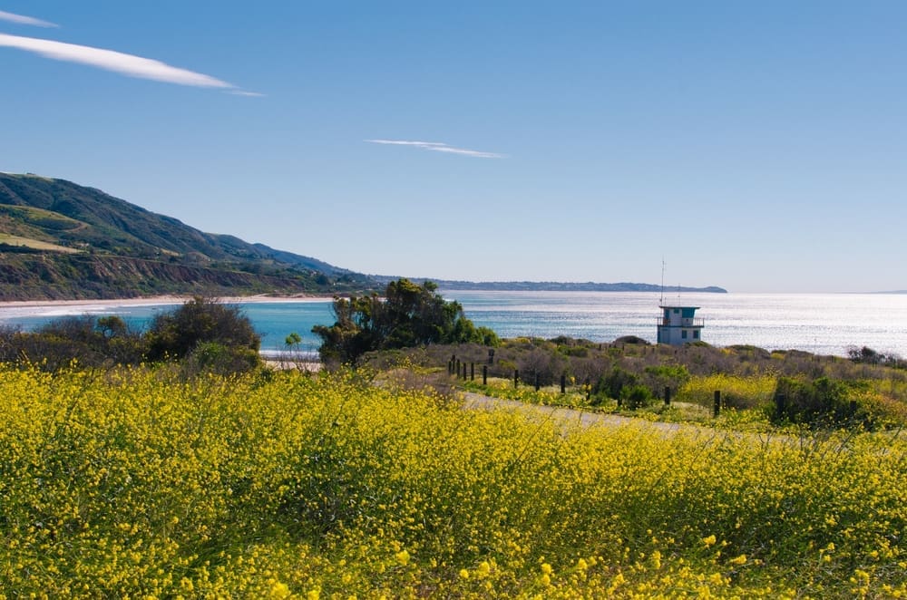 Seascape landscape of Pacific Ocean at Leo Carrillo State Park in Malibu, California featuring lifeguard stand and yellow wildflowers. By Shutterstock.com - ImageWard