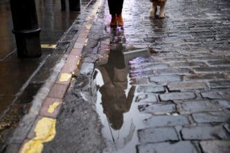 A woman walking her dog encounters a pothole in the street
