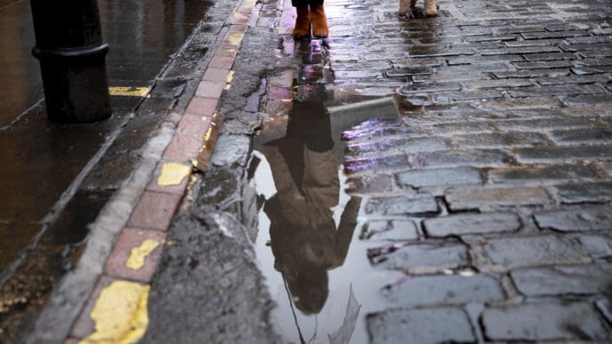 A woman walking her dog encounters a pothole in the street
