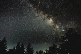 Beautiful silhouette shot of trees under a starry night sky