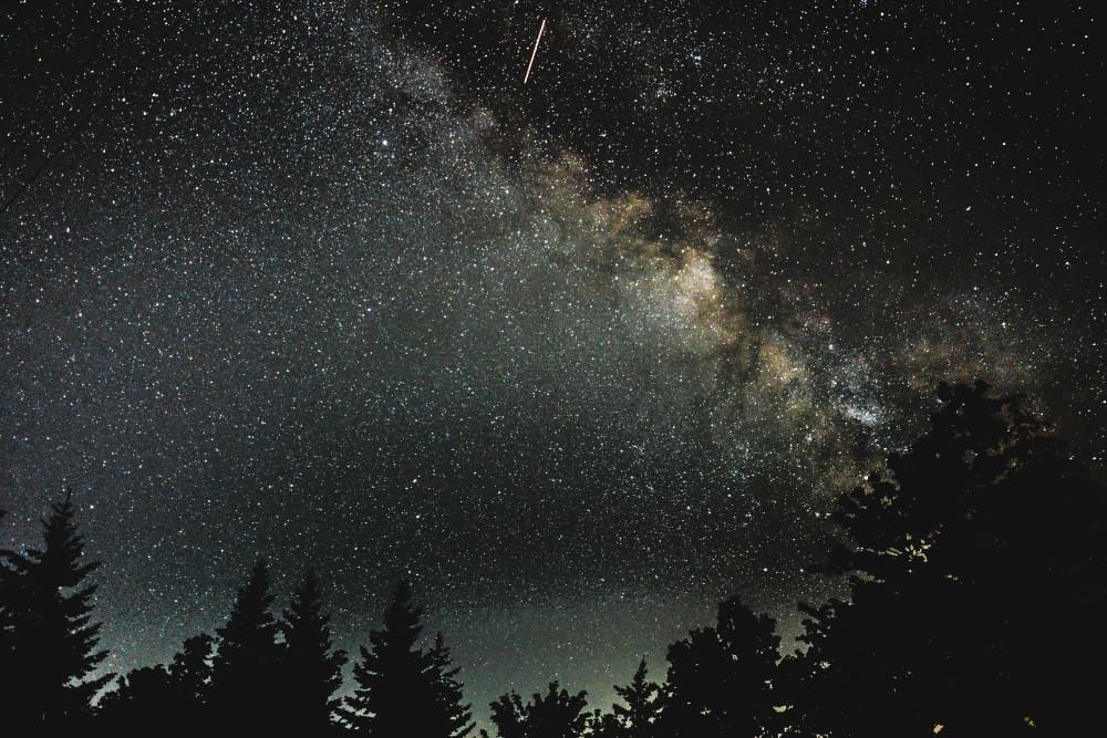 Beautiful silhouette shot of trees under a starry night sky