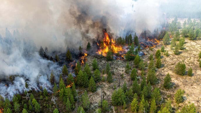 Russia Wildfires