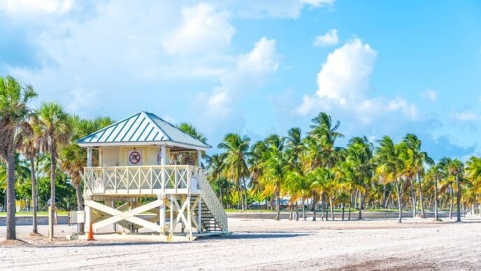 A distinctive white lifeguard stand with stairs and an "X" pattern base stands on the wide, sandy beach of Crandon Park in Miami, lined with numerous palm trees under a bright blue sky with white clouds.