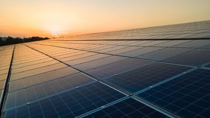 An elevated view looking across a vast field of solar panels at a solar farm. The warm, golden light of the setting or rising sun is visible on the horizon and reflects off the panel surfaces.