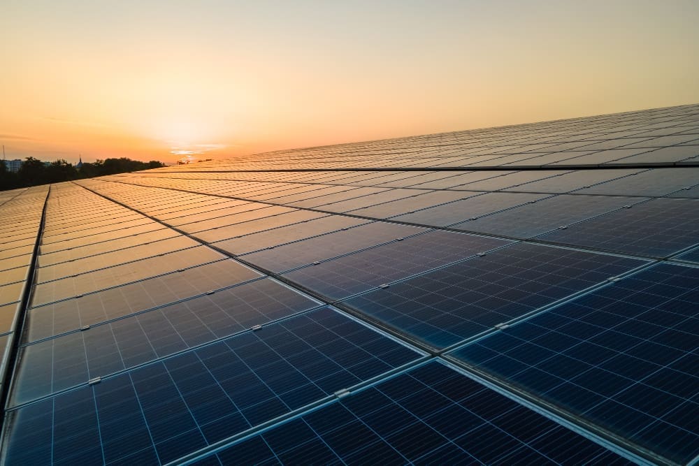 An elevated view looking across a vast field of solar panels at a solar farm. The warm, golden light of the setting or rising sun is visible on the horizon and reflects off the panel surfaces.