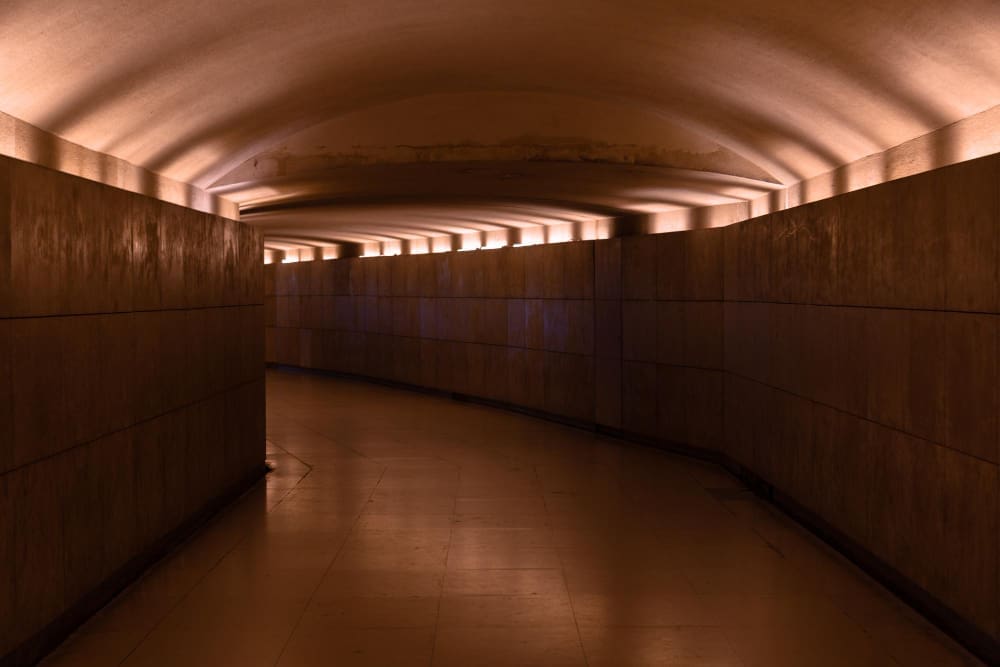A dimly lit, curved underground tunnel with smooth, dark walls and an arched ceiling with strip lighting, evoking a sense of secrecy or a luxury bunker.