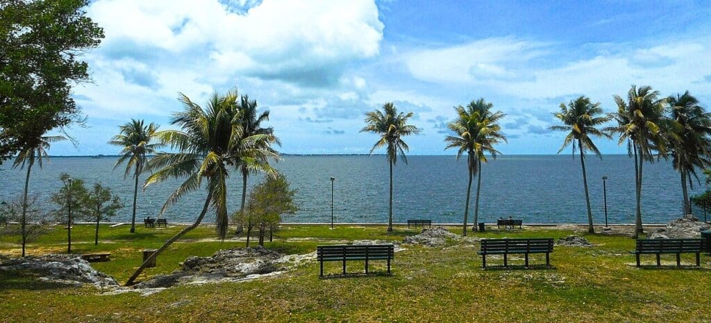A panoramic view of Biscayne Bay from a grassy vantage point, with palm trees, benches, and Key Biscayne in the distance under a partly cloudy sky.