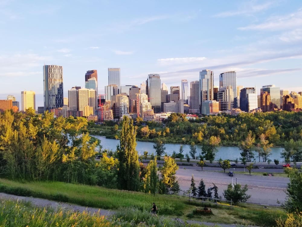 A panoramic view of the Calgary skyline with numerous modern skyscrapers, bathed in golden sunlight, rising above a river and lush green trees, under a clear blue sky.