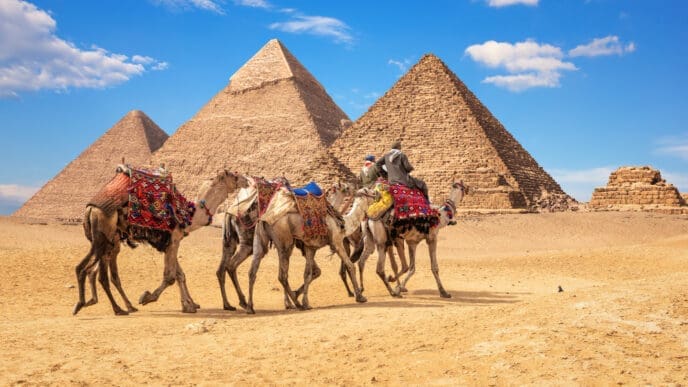 A group of camels with riders and colorful saddles walking across the desert in front of the Giza Pyramids in Egypt.