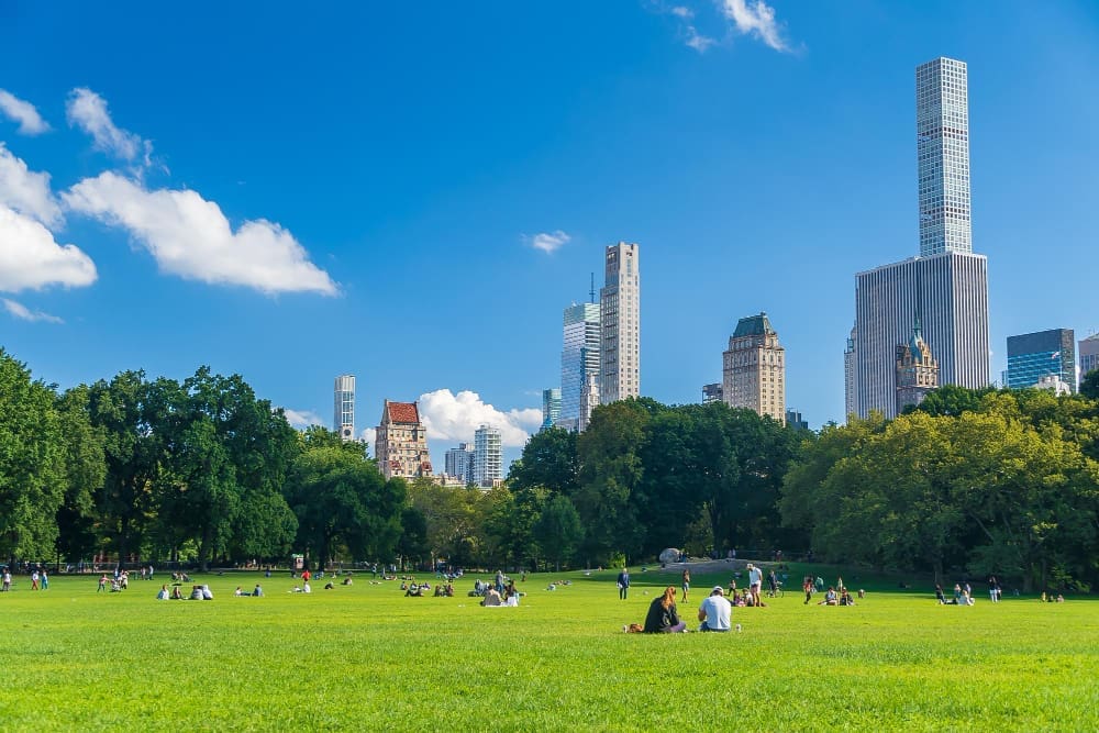 A wide shot of the Great Lawn in Central Park, New York City, with numerous people relaxing on the lush green grass. The urban skyline, including skyscrapers, is visible through the trees in the background under a clear blue sky.
