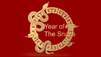 A 3D rendering of a golden snake coiled around an ornate circular golden frame that contains the text "Year of The Snake," all against a solid red background.