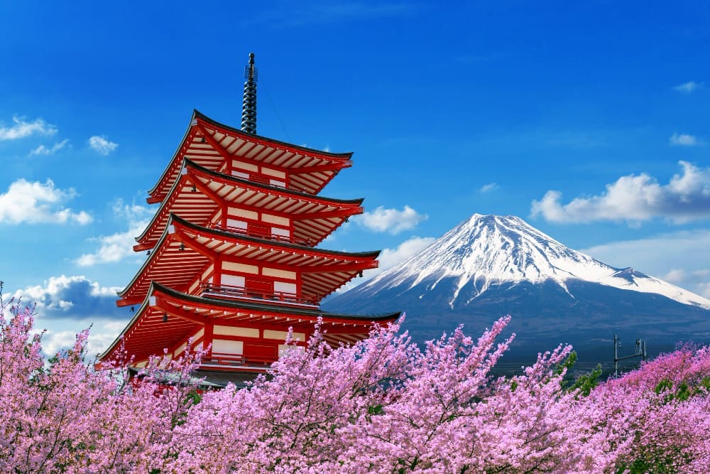 The iconic red and white Chureito Pagoda stands among vibrant pink cherry blossoms, with the snow-capped Mount Fuji visible in the background under a clear blue sky in Japan.