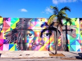 A vibrant street art mural on a building wall in Wynwood, Miami, depicting a large, colorful face with dreadlocks in a geometric pattern, partially obscured by the shadow of a palm tree, under a bright blue sky.
