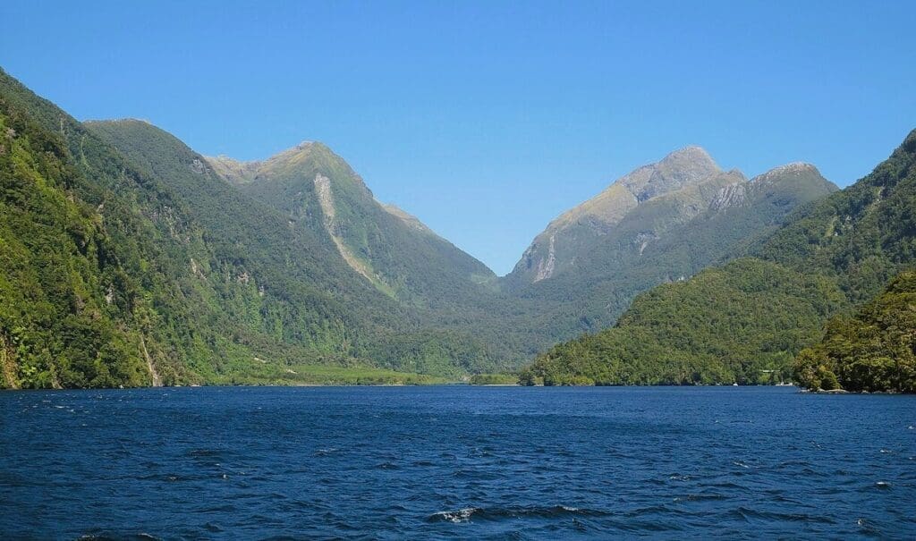A wide view of Deep Cove in Doubtful Sound, with a large expanse of dark blue water framed by steep, verdant, forested mountains under a clear blue sky.