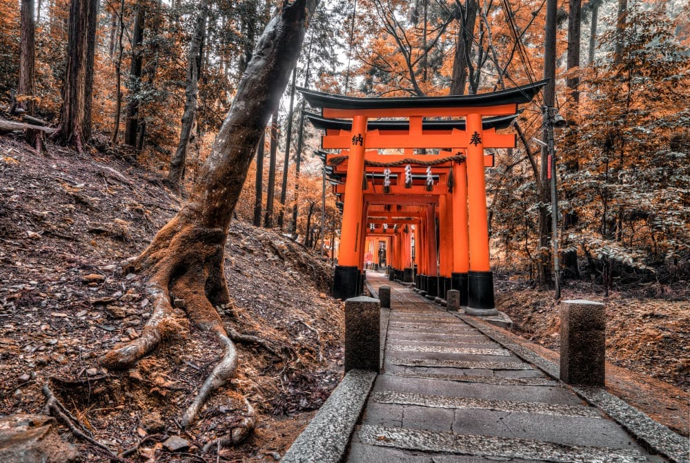 A long, winding stone pathway lined with thousands of vibrant vermilion torii gates, stretching into the distance through a dense forest at Fushimi Inari-taisha Shrine in Kyoto, Japan.
