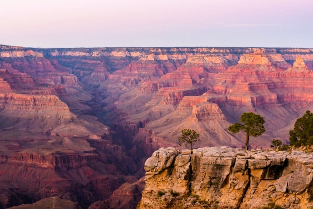 A wide scenic view of the Grand Canyon South Rim at sunset, showing vast layered rock formations in warm hues, with a few trees on the cliff edge.