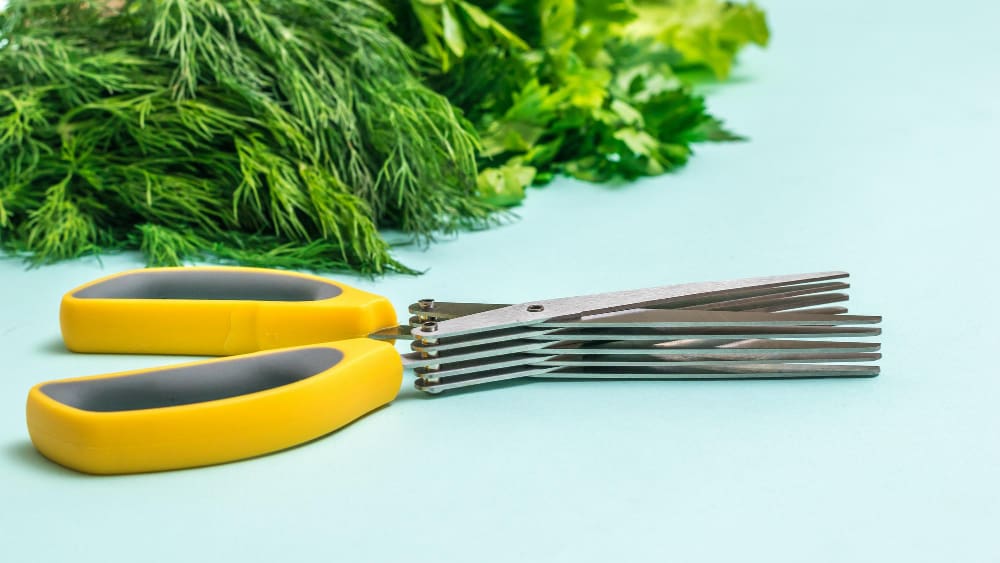 A multi-blade herb scissors with yellow handles, lying next to fresh dill and parsley on a light blue surface.