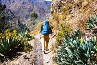 A hiker with a large blue backpack and trekking poles walks along a narrow dirt path, surrounded by spiky green plants, with a vast, rugged mountain valley in the background under a clear sky.