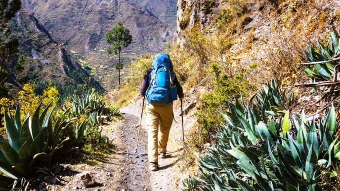 A hiker with a large blue backpack and trekking poles walks along a narrow dirt path, surrounded by spiky green plants, with a vast, rugged mountain valley in the background under a clear sky.